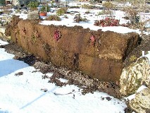 peat
